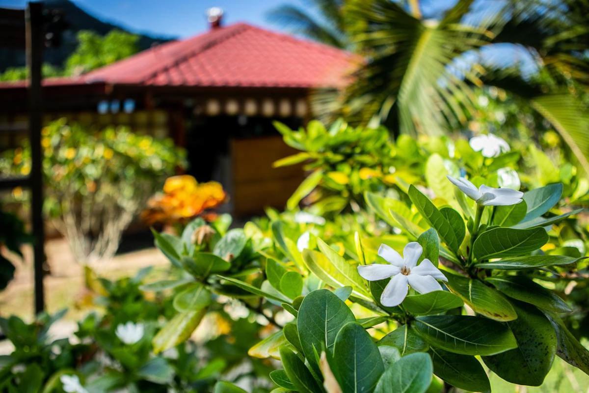 Raiatea Sur Mer Opoa المظهر الخارجي الصورة