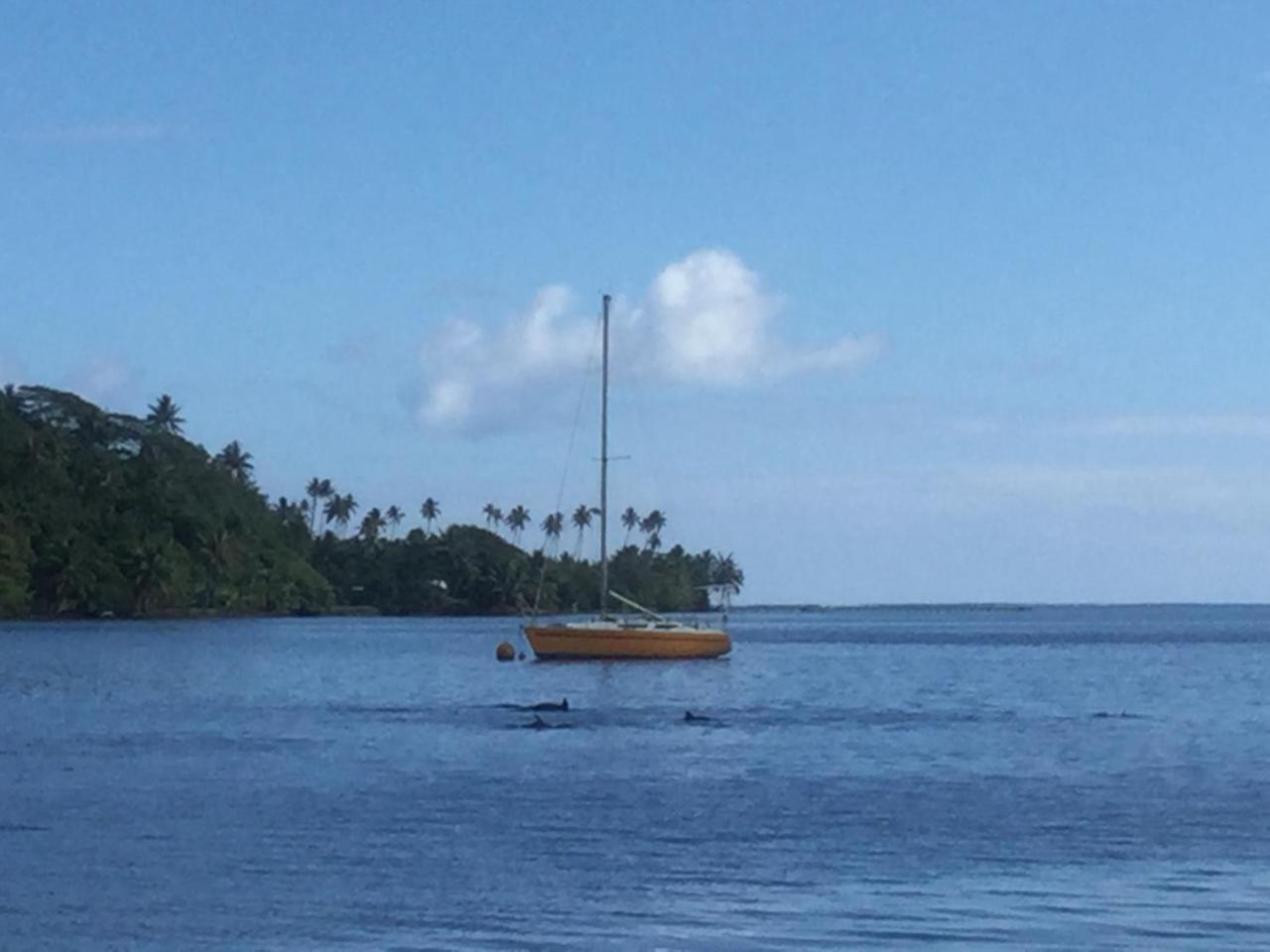 Raiatea Sur Mer Opoa المظهر الخارجي الصورة